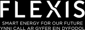 FLEXIS Logo